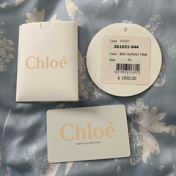 Small Chloe Drew bag in Cement Pink - Picture 14 of 15